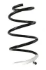 Fahrwerksfeder Vorderachse SPIDAN GKNW10148