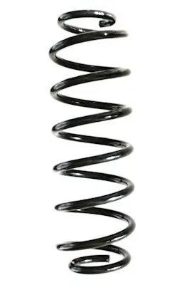 Fahrwerksfeder Hinterachse SPIDAN GKNW10149