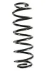 Fahrwerksfeder Hinterachse SPIDAN GKNW10149