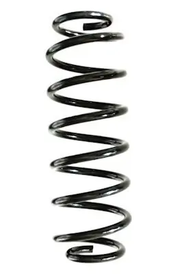 Fahrwerksfeder Hinterachse SPIDAN GKNW10150