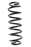 Fahrwerksfeder Hinterachse SPIDAN GKNW10150
