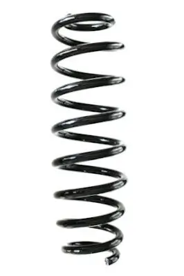 Fahrwerksfeder Hinterachse SPIDAN GKNW10151