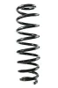 Fahrwerksfeder Hinterachse SPIDAN GKNW10151