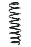 Fahrwerksfeder Hinterachse SPIDAN GKNW10151