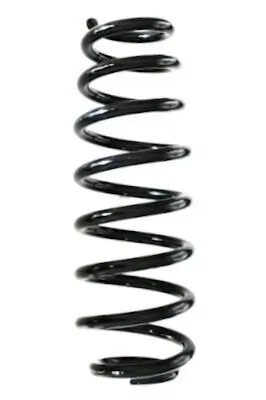 Fahrwerksfeder Hinterachse SPIDAN GKNW10152
