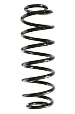 Fahrwerksfeder Hinterachse SPIDAN GKNW10153