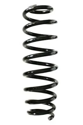 Fahrwerksfeder Hinterachse SPIDAN GKNW10154