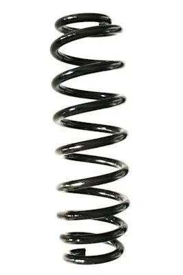 Fahrwerksfeder Hinterachse SPIDAN GKNW10155