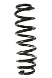 Fahrwerksfeder Hinterachse SPIDAN GKNW10155