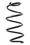 Fahrwerksfeder Vorderachse SPIDAN GKNW10159