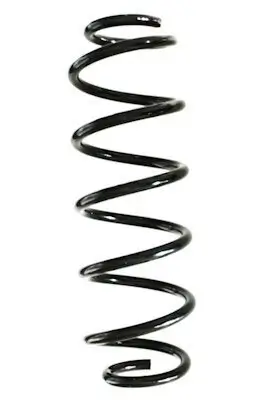 Fahrwerksfeder Hinterachse SPIDAN GKNW10161