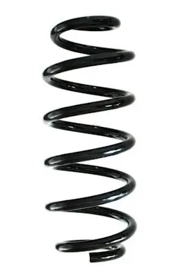 Fahrwerksfeder Hinterachse SPIDAN GKNW10162