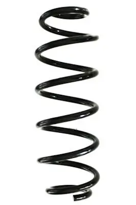 Fahrwerksfeder Hinterachse SPIDAN GKNW10163