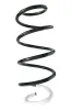 Fahrwerksfeder Vorderachse SPIDAN GKNW10165