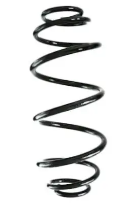 Fahrwerksfeder Hinterachse SPIDAN GKNW10166