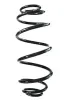Fahrwerksfeder Hinterachse SPIDAN GKNW10167