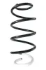 Fahrwerksfeder Vorderachse SPIDAN GKNW10168