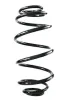 Fahrwerksfeder Hinterachse SPIDAN GKNW10169