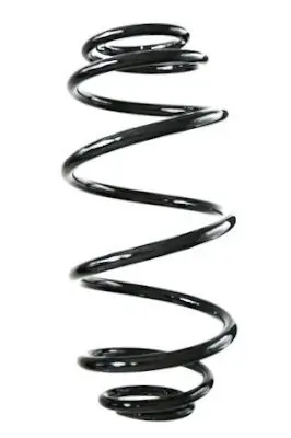 Fahrwerksfeder Hinterachse SPIDAN GKNW10169 Bild Fahrwerksfeder Hinterachse SPIDAN GKNW10169