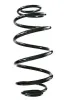 Fahrwerksfeder Hinterachse SPIDAN GKNW10172