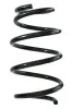 Fahrwerksfeder Vorderachse SPIDAN GKNW10178