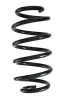 Fahrwerksfeder Hinterachse SPIDAN GKNW10179