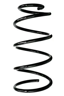 Fahrwerksfeder Vorderachse SPIDAN GKNW10180