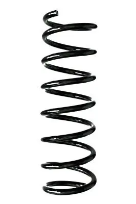 Fahrwerksfeder Hinterachse SPIDAN GKNW10181
