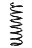 Fahrwerksfeder Hinterachse SPIDAN GKNW10181