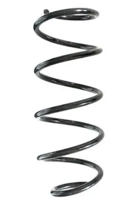 Fahrwerksfeder Vorderachse SPIDAN GKNW10184