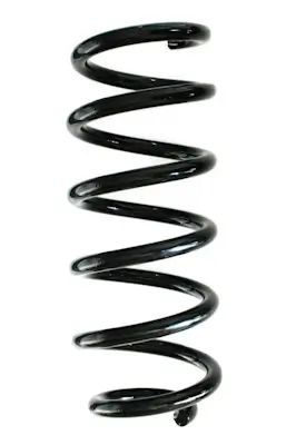 Fahrwerksfeder Vorderachse SPIDAN GKNW10188