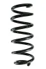 Fahrwerksfeder Vorderachse SPIDAN GKNW10188