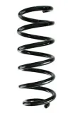 Fahrwerksfeder Vorderachse SPIDAN GKNW10188