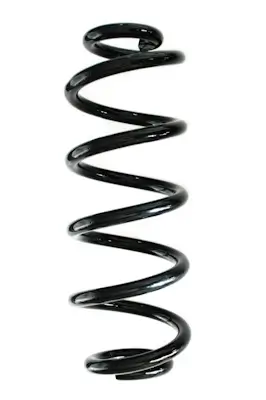 Fahrwerksfeder Hinterachse SPIDAN GKNW10189