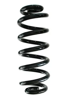 Fahrwerksfeder Hinterachse SPIDAN GKNW10190 Bild Fahrwerksfeder Hinterachse SPIDAN GKNW10190
