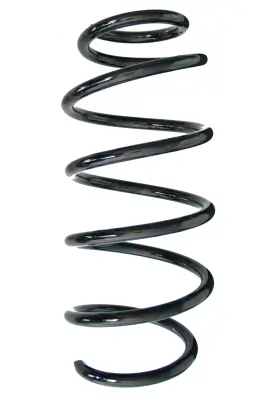 Fahrwerksfeder Vorderachse SPIDAN GKNW10194