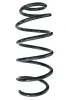 Fahrwerksfeder Vorderachse SPIDAN GKNW10194