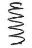 Fahrwerksfeder Vorderachse SPIDAN GKNW10196