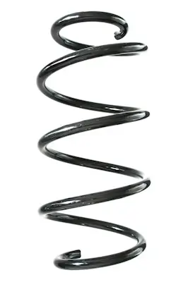 Fahrwerksfeder Vorderachse SPIDAN GKNW10203 Bild Fahrwerksfeder Vorderachse SPIDAN GKNW10203
