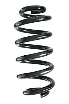 Fahrwerksfeder Hinterachse SPIDAN GKNW10205
