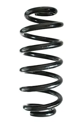 Fahrwerksfeder Hinterachse SPIDAN GKNW10206