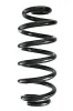 Fahrwerksfeder Hinterachse SPIDAN GKNW10206