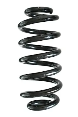 Fahrwerksfeder Hinterachse SPIDAN GKNW10208