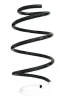 Fahrwerksfeder Vorderachse SPIDAN GKNW10209