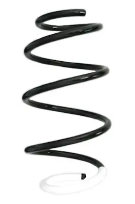 Fahrwerksfeder Vorderachse SPIDAN GKNW10209 Bild Fahrwerksfeder Vorderachse SPIDAN GKNW10209