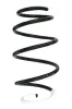 Fahrwerksfeder Vorderachse SPIDAN GKNW10210