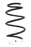 Fahrwerksfeder Vorderachse SPIDAN GKNW10210