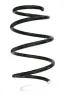 Fahrwerksfeder Vorderachse SPIDAN GKNW10211