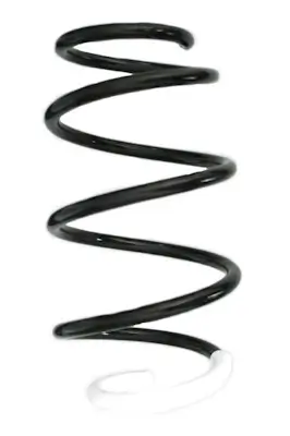 Fahrwerksfeder Vorderachse SPIDAN GKNW10211 Bild Fahrwerksfeder Vorderachse SPIDAN GKNW10211