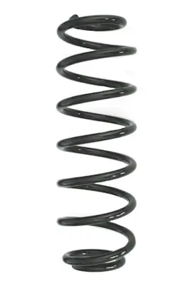 Fahrwerksfeder Hinterachse SPIDAN GKNW10212